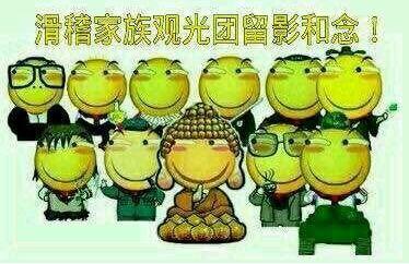 吃瓜群众新米上市 第1张 吃瓜群众新米上市 第1张